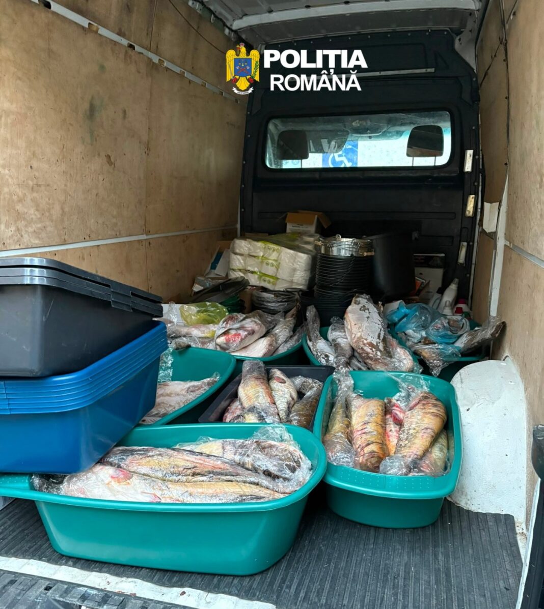 Peste 200 de kilograme de pește, confiscate de polițiști în Dubova. O femeie s-a ales cu dosar penal
