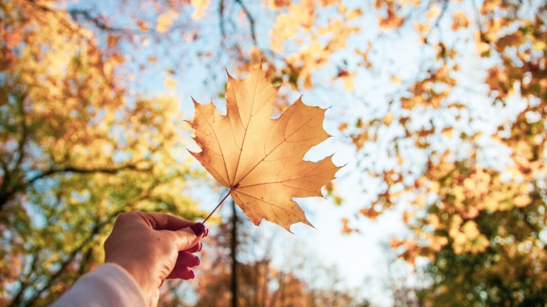 Cum va fi vremea în următoarele săptămâni din septembrie