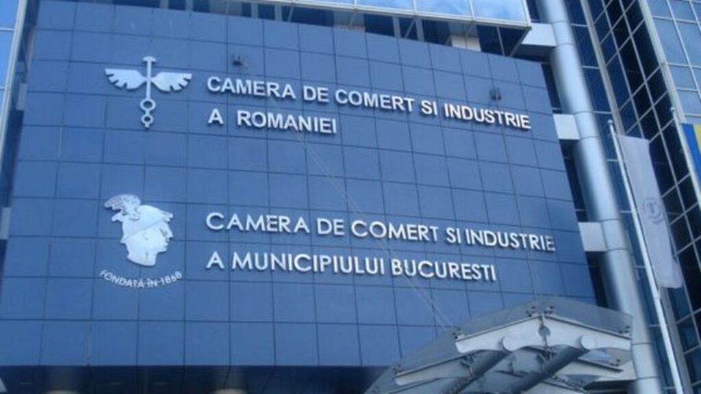 Precizările Camerei de Comerț după zborul privat cu Ponta, Manole, judecătorul CCR și șeful Tribunalului Constanța în Mykonos