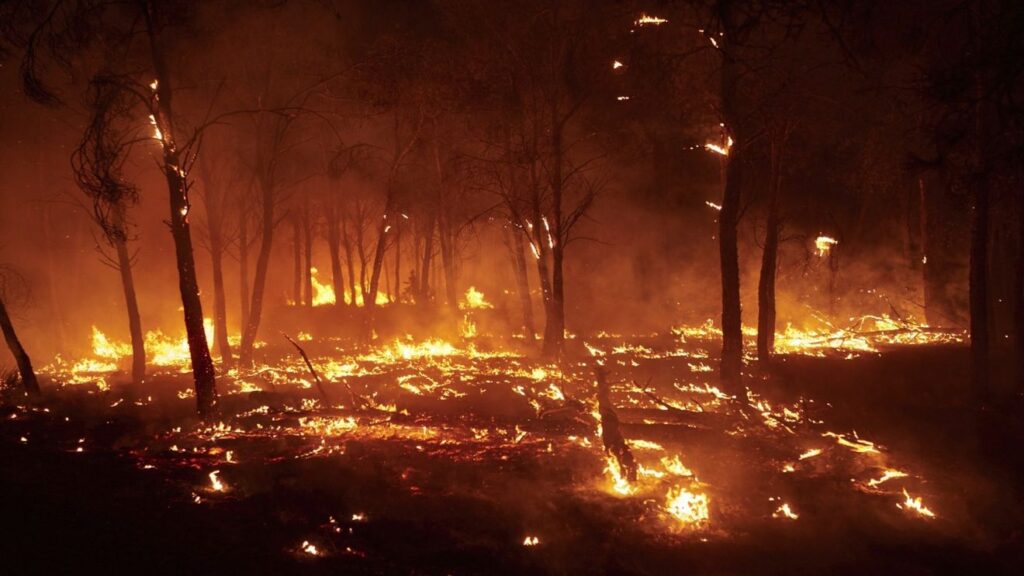 Spania: Trei răniţi într-un incendiu de vegetație în interiorul regiunii Costa del Sol