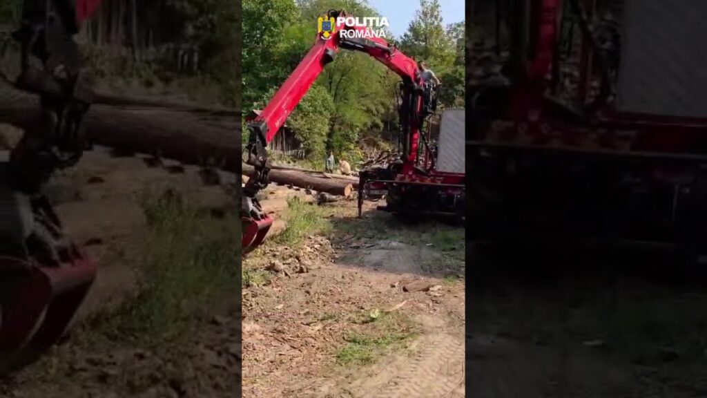 Diferență de peste 84 de metri cubi de lemn, descoperită la un depozit din Gorj. Polițiștii au deschis dosar penal