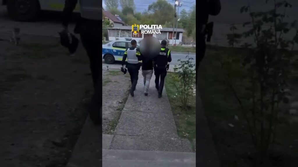 Tânăr din Oteșani, reținut după ce ar fi amenințat un bărbat și i-ar fi distrus mașina cu un motoferăstrău