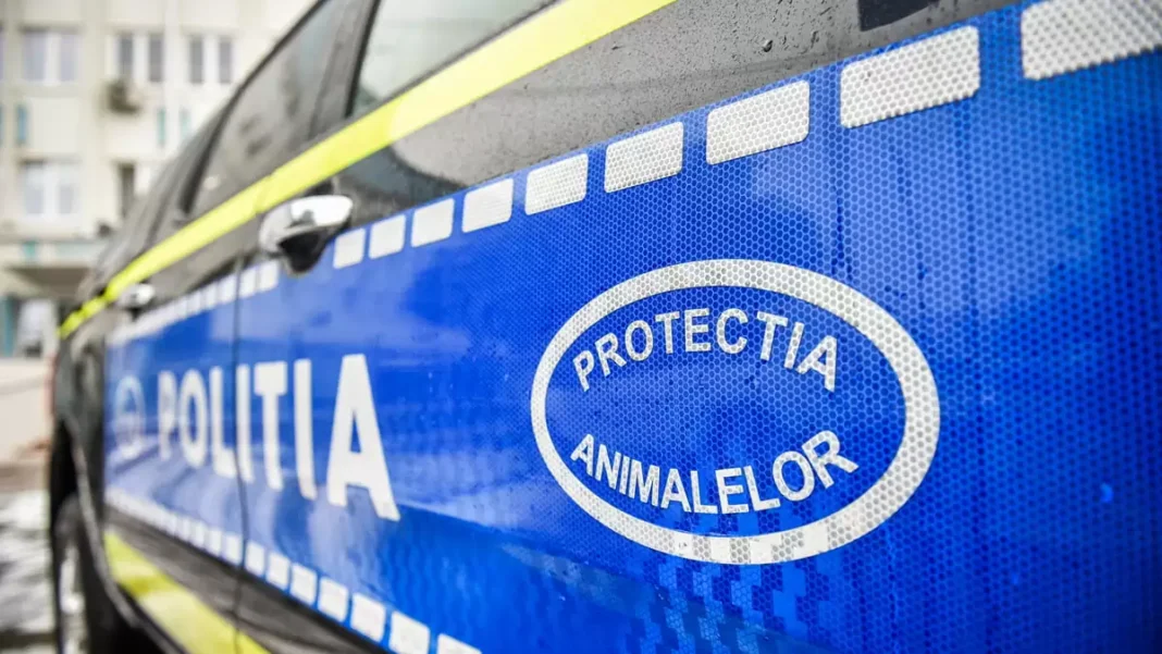 Olt: Amendă de 12.000 de lei pentru un bărbat, după ce a postat un videoclip cu un câine care ar fi avut nevoie de îngrijiri medicale