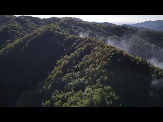(VIDEO) Incendiul din fondul forestier de la Băile Olănești, ziua patru. 33 de pompieri continuă intervenția