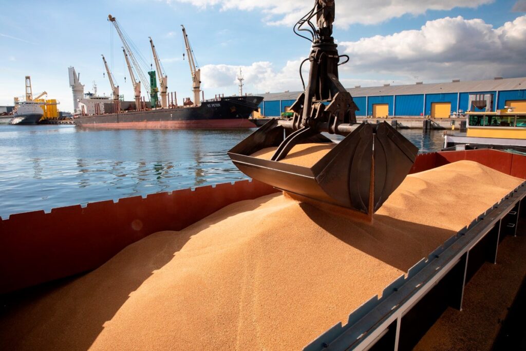 Ministerul Agriculturii ia măsuri pentru fluidizarea exporturilor de cereale româneşti din Portul Constanţa