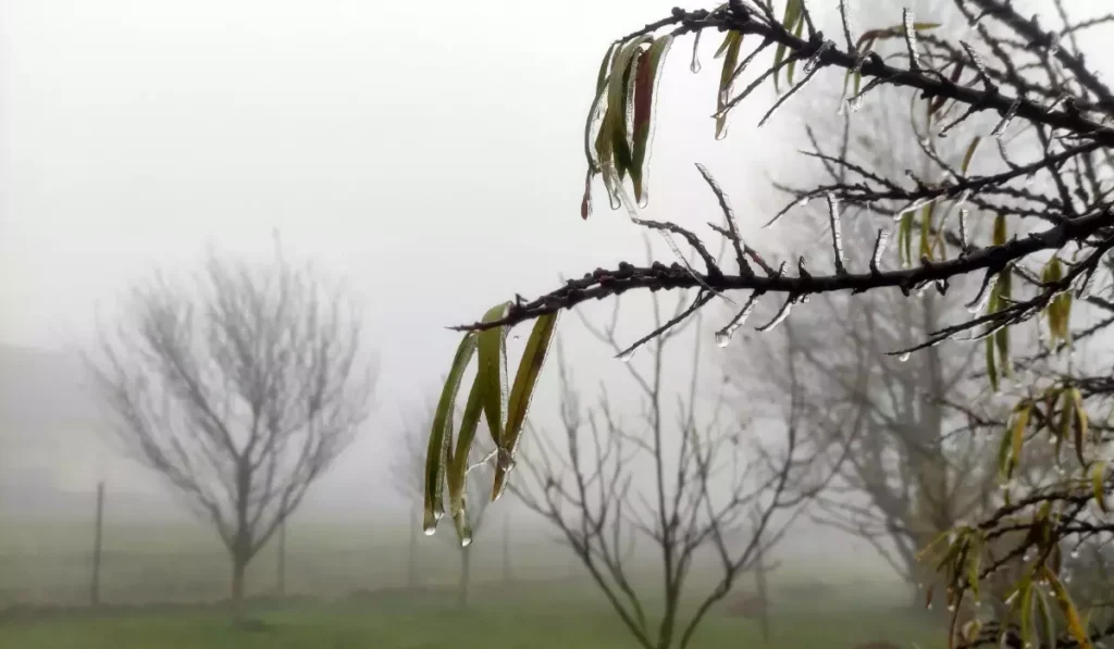 Val de frig peste România. Temperaturile au coborât la -6 grade, iar în Oltenia s-au înregistrat valori negative