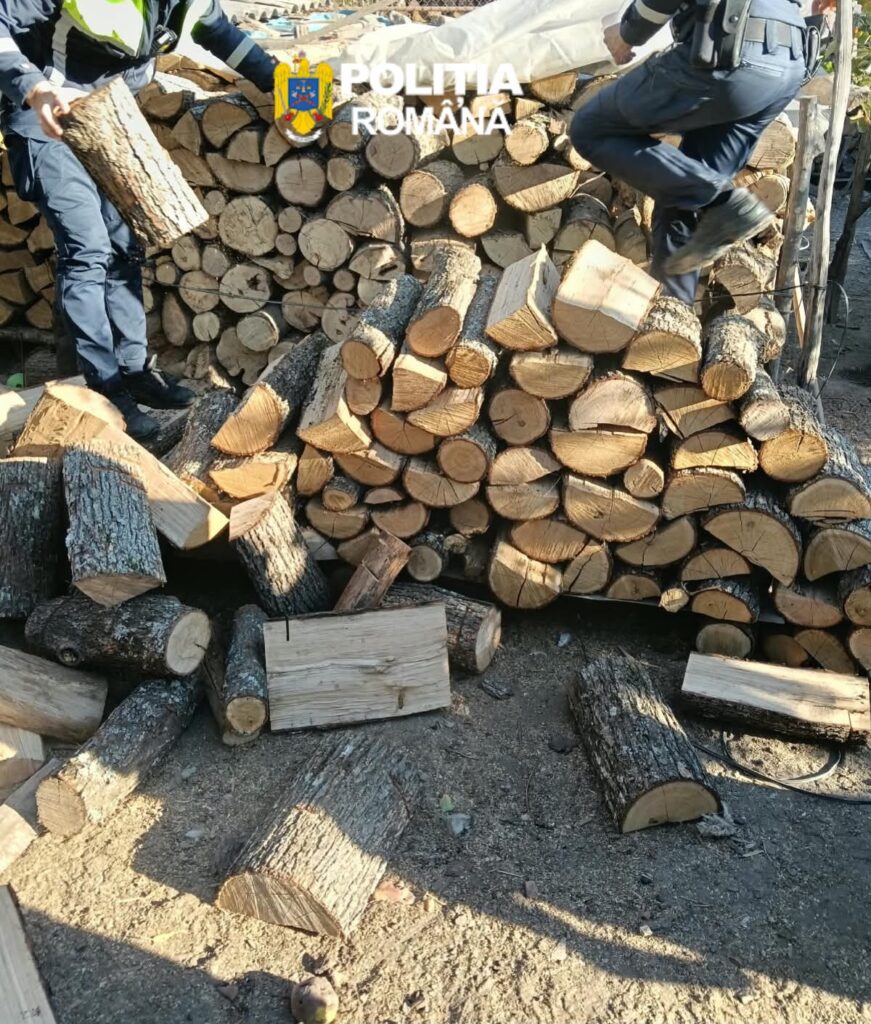 Mehedinți: Lemne furate din pădure, găsite acasă la un bărbat